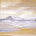 Sahara, 2006
