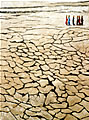 L'Eau, 2006